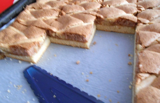 Mrežovník (fotorecept) - obrázok 10