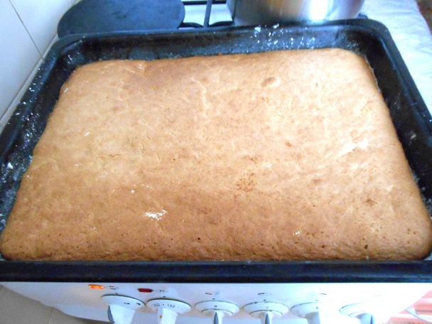 Kokosové tyčinky - celiatické (fotorecept) - obrázok 3