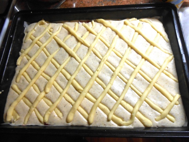 Bezlepkový mrežovník (fotorecept)  - obrázok 7