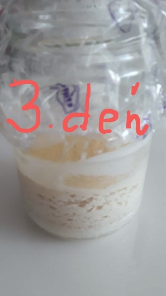 Ryžový kvások (fotorecept) - obrázok 2