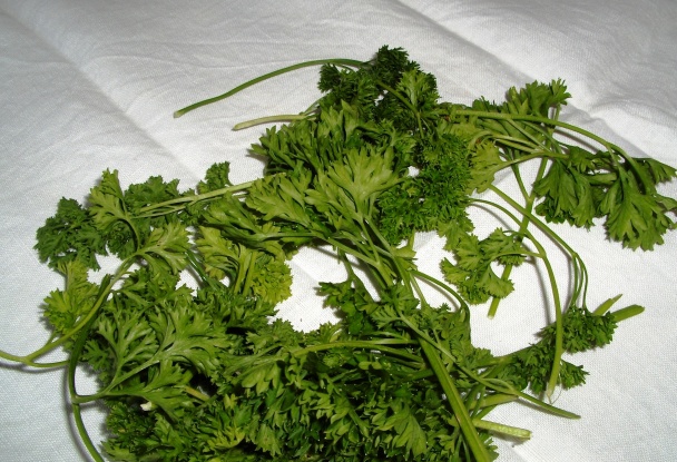 Petržlen -  na každý deň v roku (fotorecept) - obrázok 1