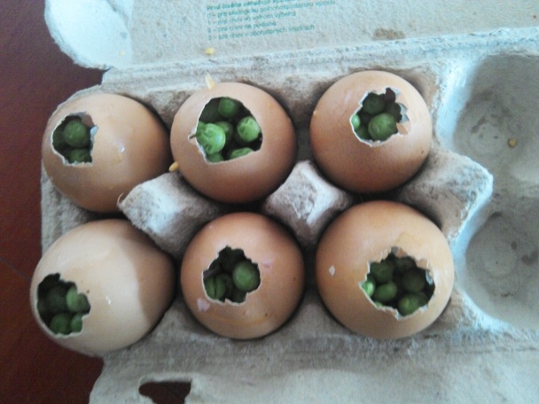 Aspikové vajíčka - obrázok 1