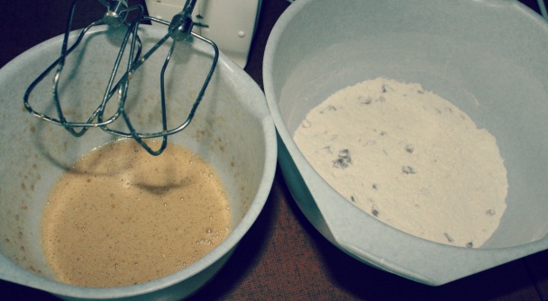 Kokosovo-čokoládové cookies, kekse - obrázok 2