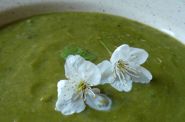 Zelená jarná polievka (fotorecept) - obrázok 3