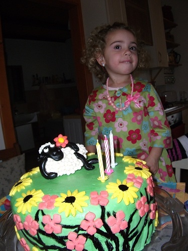 Amatérska tortička ovečka - obrázok 3