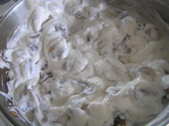 Rybací páj (fotorecept) - obrázok 6