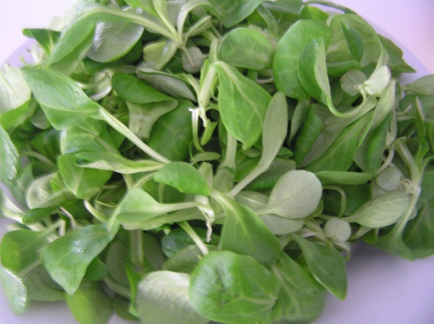 Poľníčkové pyré a šunkové jabĺčka (fotorecept) - obrázok 2