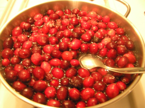 Plnený moriak inak, ružičkový kel, pyré s pretlakom, brusnicová omáčka (fotorecept) - obrázok 4