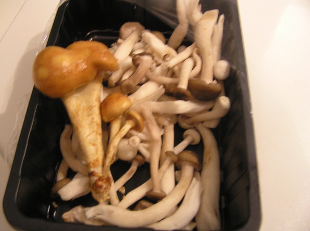 Ravioli s hubami, rukolou a rukolovým pestom (fotorecept) - obrázok 3