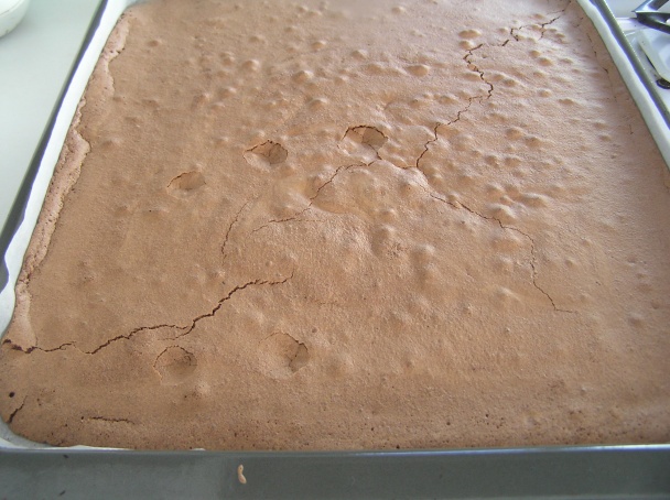 Jemná čokoládová roláda bez múky (fotorecept) - obrázok 6