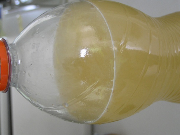 Ginger Ale na domáci spôsob - zázvorový nápoj - obrázok 3