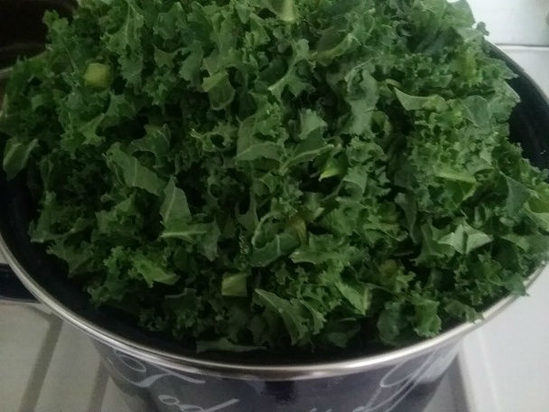 Kučeravý kel na holandský spôsob (fotorecept) - obrázok 4