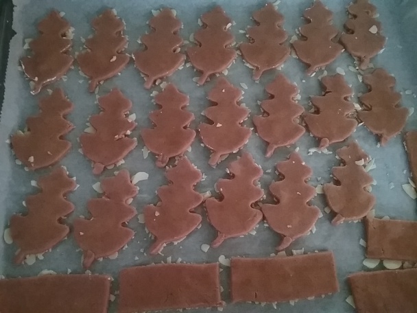 Spekulatius keksy (fotorecept) - obrázok 11