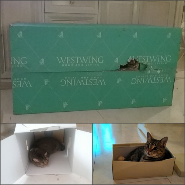 Bábovka s vaječným likérom (fotorecept) - obrázok 9