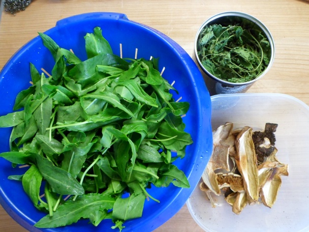 Jarná tukožrútska šťaveľová polievka so žihľavou - obrázok 2