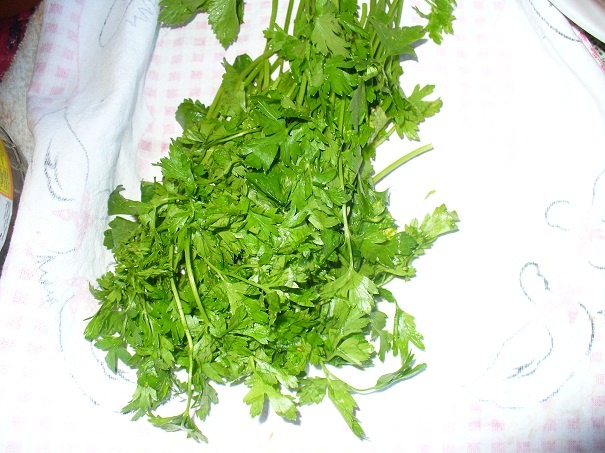 Apetitka zo zelenej papriky (fotorecept) - obrázok 8