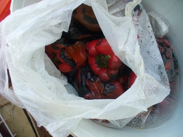 Pravá macedónska Ljutenica (fotorecept) - obrázok 5