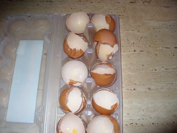 Pavlova torta (fotorecept) - obrázok 1