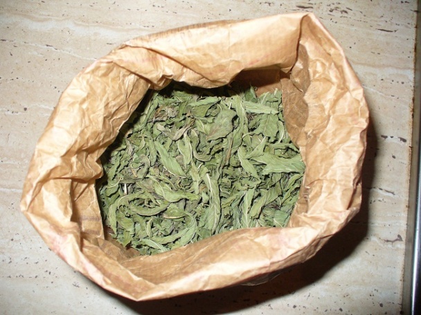 Gravče tavče - zapekaná biela fazuľa (fotorecept) - obrázok 8