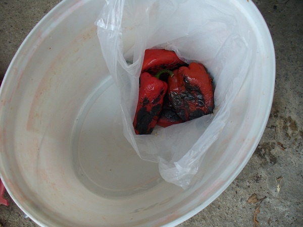 Pravý macedónsky ajvar (fotorecept) - obrázok 3