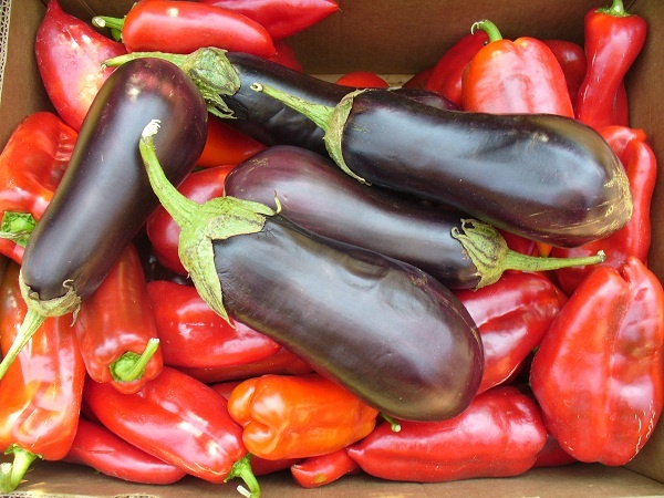 Pravý macedónsky ajvar (fotorecept) - obrázok 1