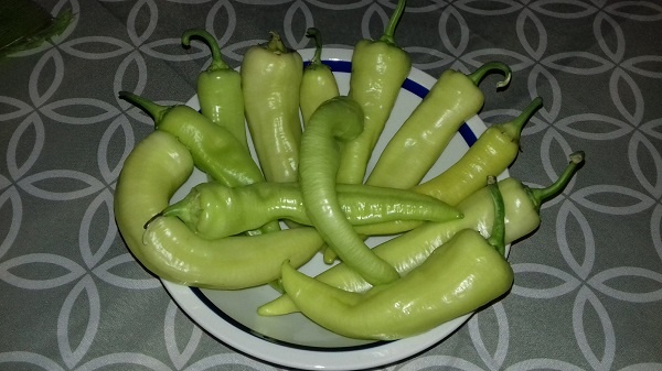 Papriky s vajíčkom (fotorecept) - obrázok 1