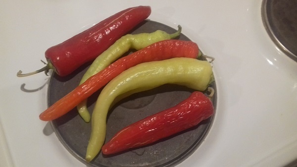 Pečené papriky aj vo fľaši (fotorecept) - obrázok 2