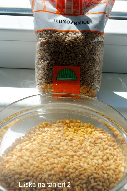 Placky z jednozrnky (fotorecept) - obrázok 1