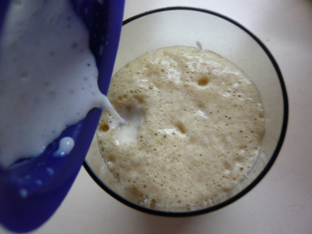Frappé (fotorecept) - obrázok 3