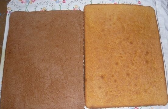 Snehové gule (fotorecept) - obrázok 1