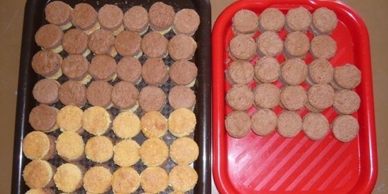 Snehové gule (fotorecept) - obrázok 2