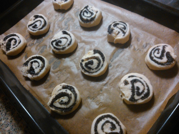 Makové osie hniezda (fotorecept) - obrázok 6