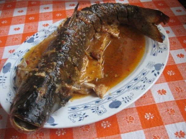 Pečený tostolobik (fotorecept) - obrázok 6