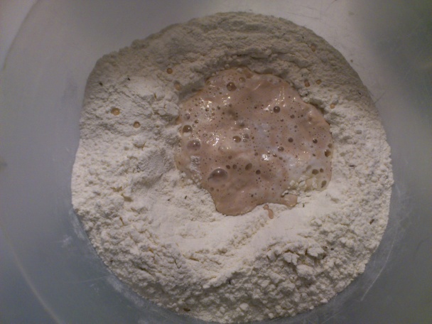 Syrové posúchy (fotorecept) - obrázok 2