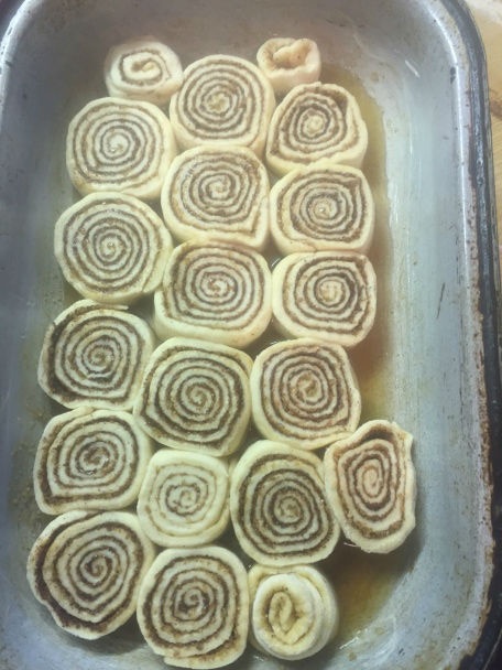 Škoricové osie hniezda - obrázok 4