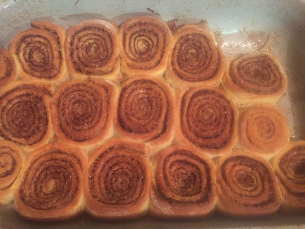 Škoricové osie hniezda - obrázok 5