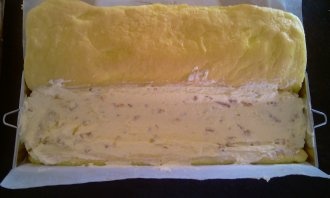 Slávnostný tunel  (fotorecept) - obrázok 5