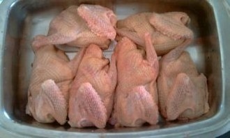 Marinované pečené holuby (fotorecept) - obrázok 2