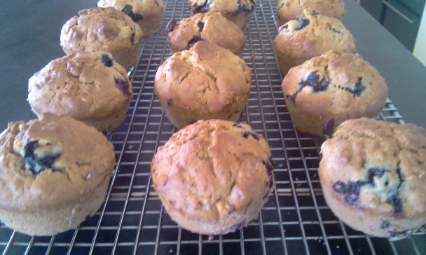 Medové muffinky s čučoriedkami (fotorecept) - obrázok 5