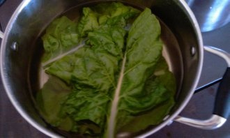 Vyprážaný syr v špenátovom liste (fotorecept) - obrázok 1