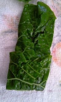Vyprážaný syr v špenátovom liste (fotorecept) - obrázok 5