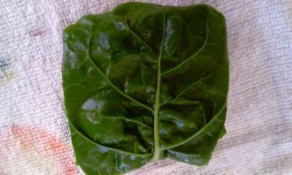 Vyprážaný syr v špenátovom liste (fotorecept) - obrázok 6