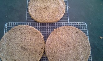 Čokoládovo- orechová torta (fotorecept) - obrázok 9