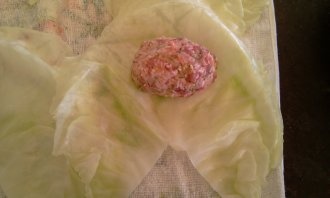 Hunki Halupki (fotorecept) - obrázok 4