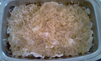 Hunki Halupki (fotorecept) - obrázok 8