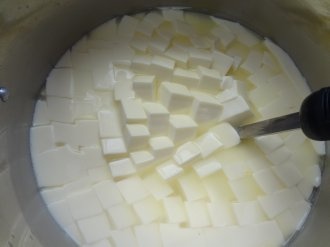 Syr s modrou plesňou (fotorecept) - obrázok 1