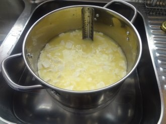 Syr s modrou plesňou (fotorecept) - obrázok 2