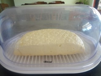 Syr s modrou plesňou (fotorecept) - obrázok 11