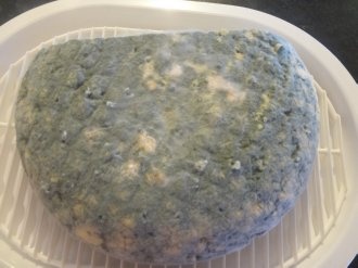 Syr s modrou plesňou (fotorecept) - obrázok 12