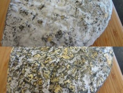 Syr s modrou plesňou (fotorecept) - obrázok 15